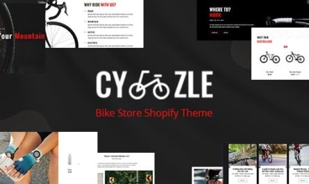 Shopify Theme