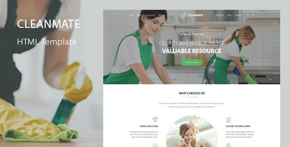 CleanMate – Cleaning Template – 20493947