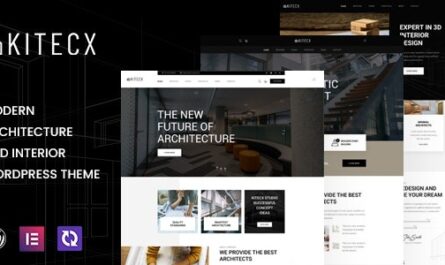 WordPress Theme