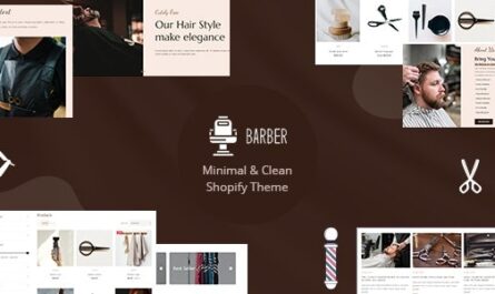 Shopify Theme