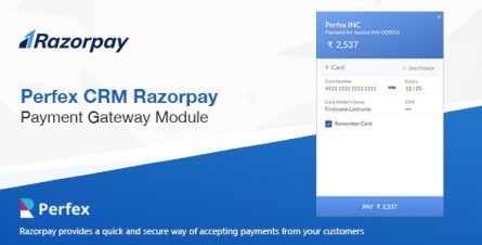 Razorpay Payment Gateway for Perfex CRM - 24003506