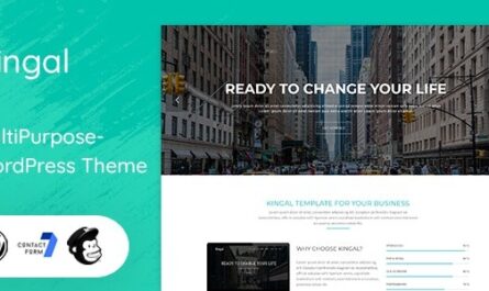 WordPress Theme